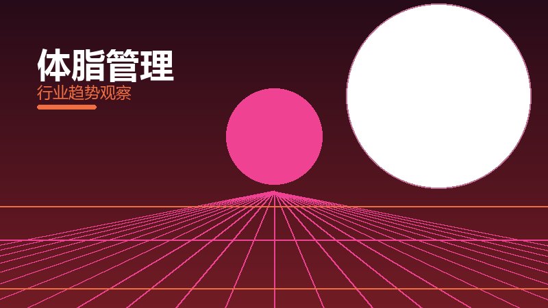 体脂管理成熟度，阶段判断与应用条件