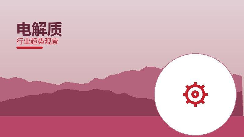 电解质最佳实践，标杆与经验复制